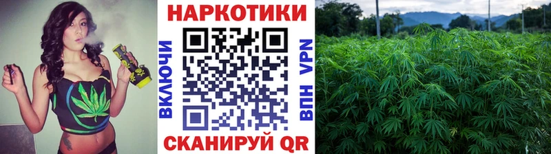 Как найти закладки Александровск-Сахалинский Кокаин  Меф  АМФЕТАМИН  Гашиш 