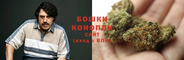 бошки Алексин