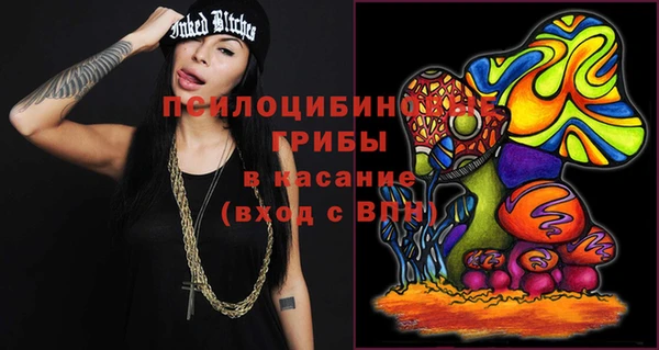 бошки Алексин